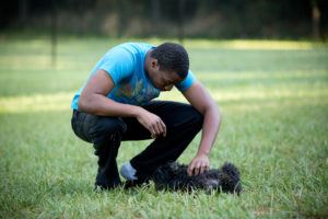 Man playing with dog