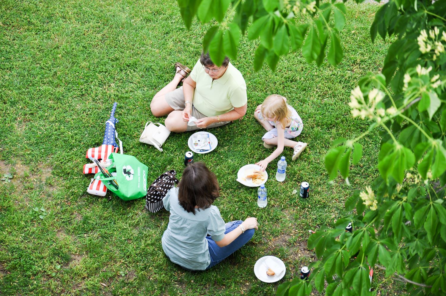 Family on a picnic in Haynes Street Park